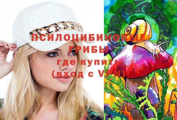 крисы Алексин