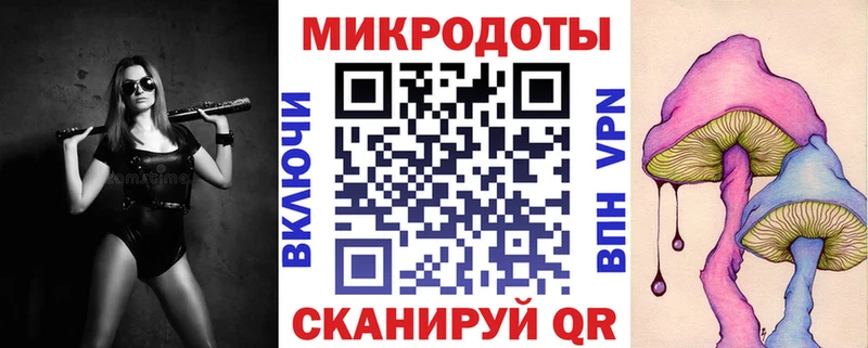 Галлюциногенные грибы мицелий  купить закладку  Жердевка 